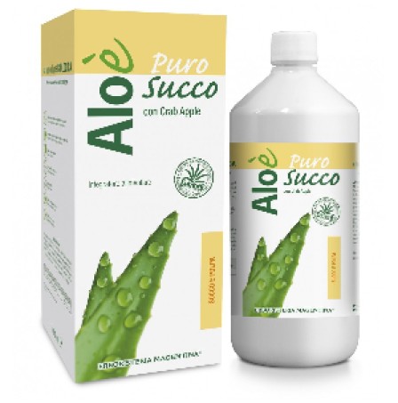 ALOE' ALOE SUCCO/POLPA BIO 1L